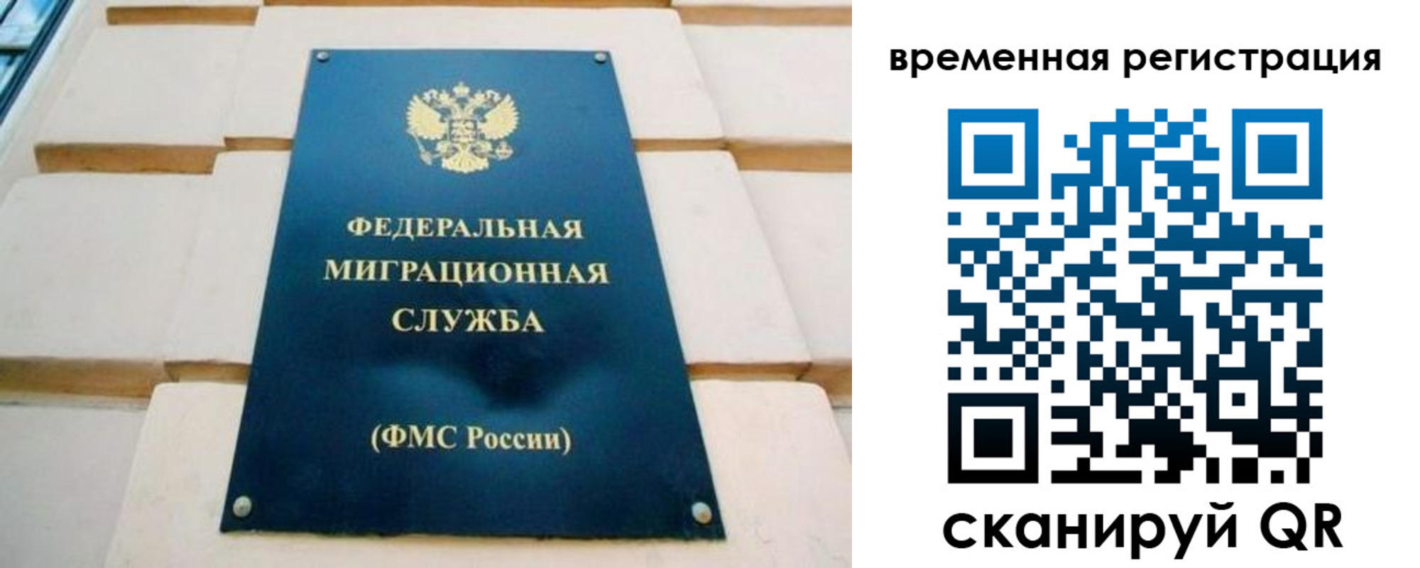 прописка гарантия в Россоши